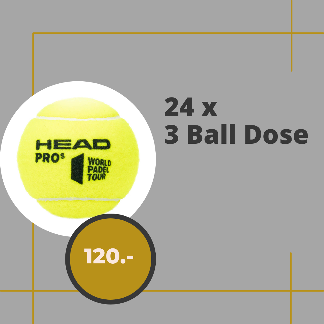 Head Padel Pro S Padelbälle 3er Dose Karton | AZ Tennisshop
