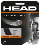 HEAD VELOCITY 12M SET