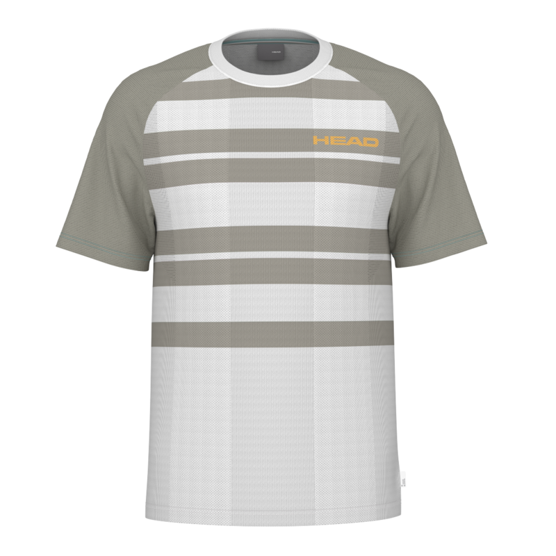 HEAD PERFORMANCE HERREN T-SHIRT - GRAU