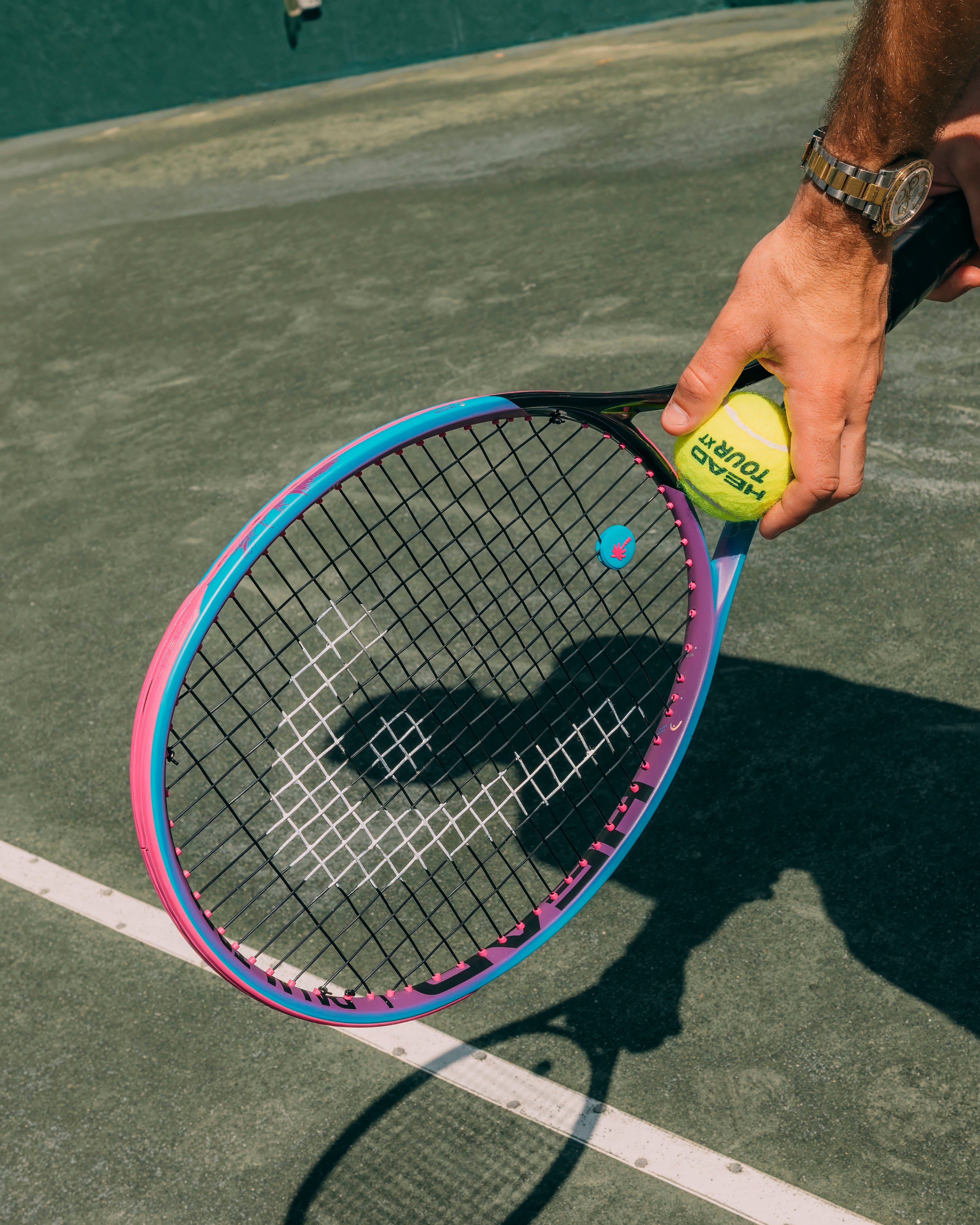 HEAD PALM TREE CREW DÄMPFER